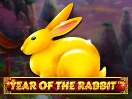 Year of the Rabbit